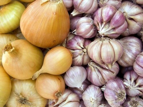 Garlic and onion - home remedies for the treatment of helminthic infestation