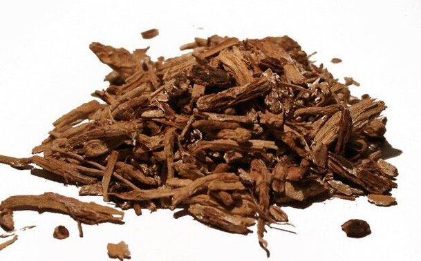 Chicory root - an effective folk remedy in the fight against parasites