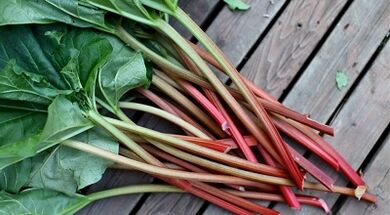 Sorrel to eliminate the parasites from the body